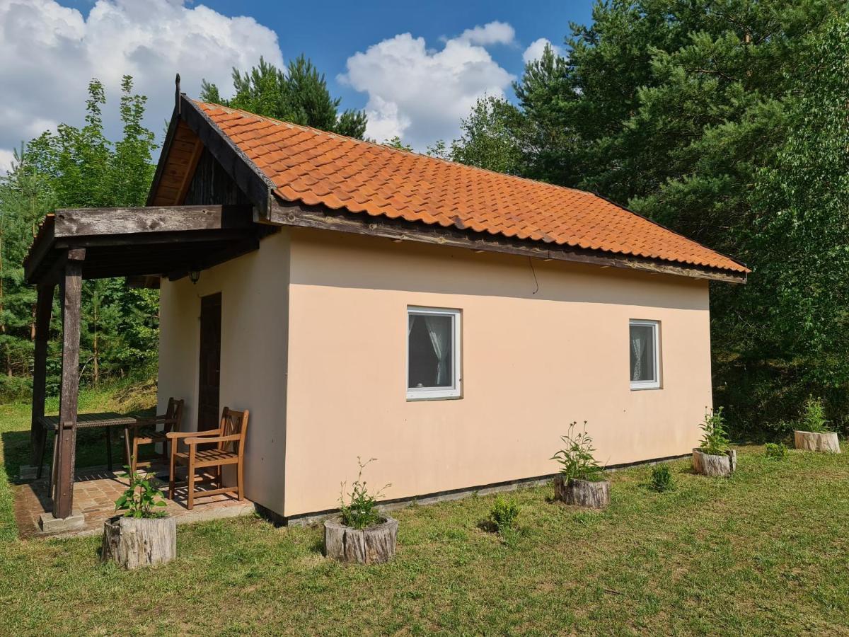 Swojski Gosciniec Prażmowo エクステリア 写真