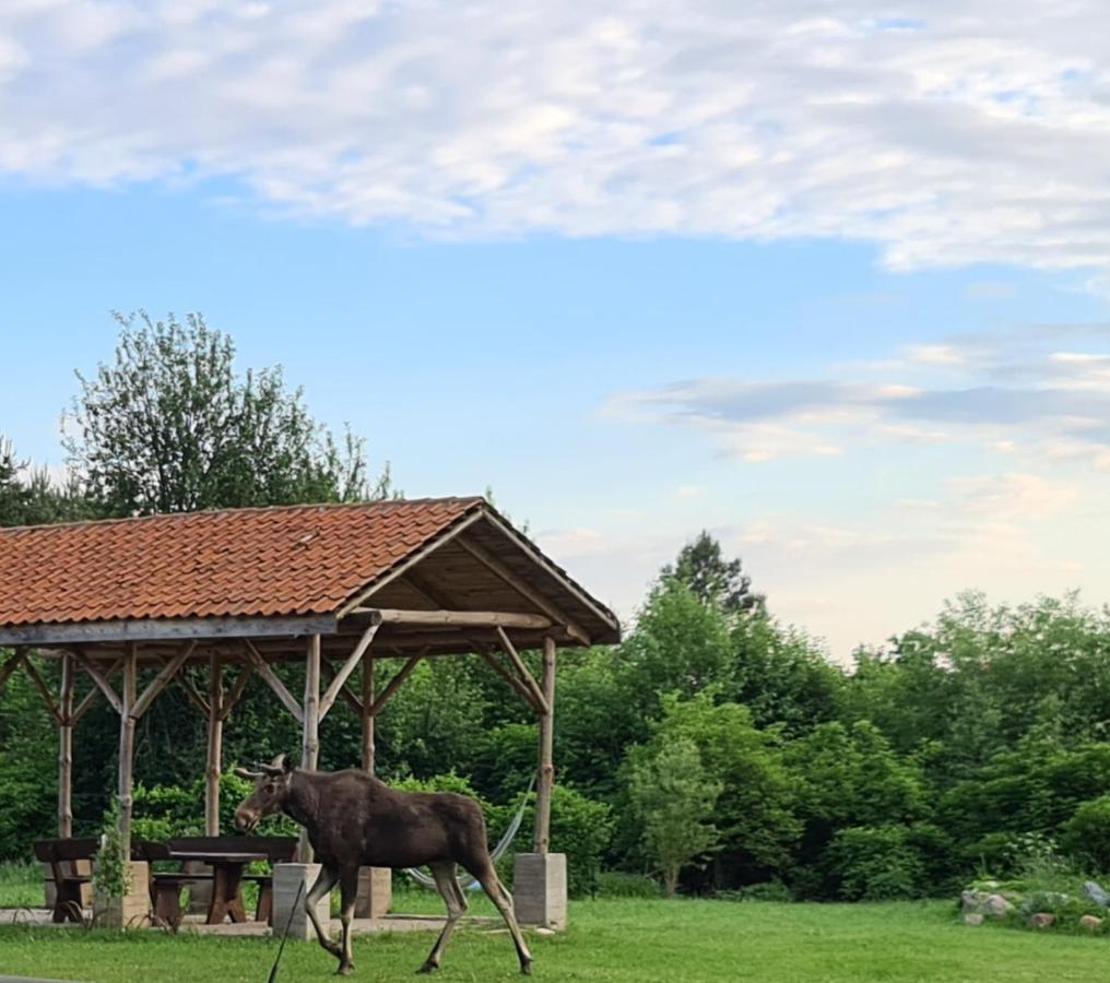 Swojski Gosciniec Prażmowo エクステリア 写真